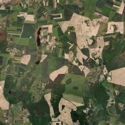 Satelita
