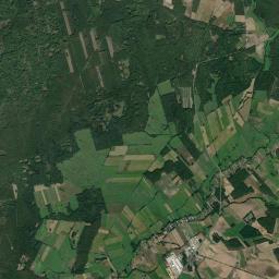 Satelita