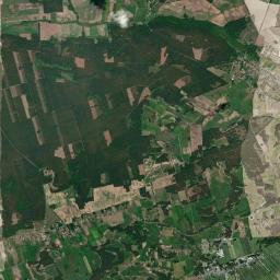 Satelita