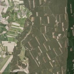 Satelita