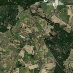 Satelita