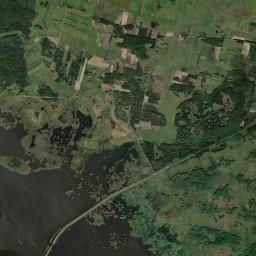 Satelita