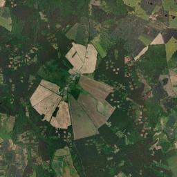 Satelita