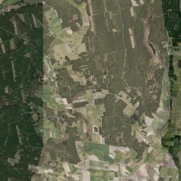 Satelita