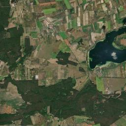 Satelita