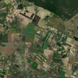 Satelita