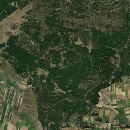 Satelita