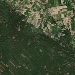 Satelita