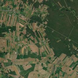Satelita