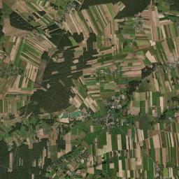 Satelita