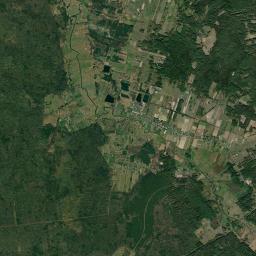 Satelita