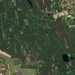 Satelita