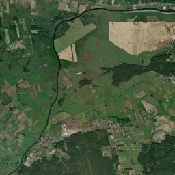Satelita