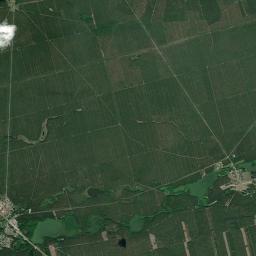 Satelita