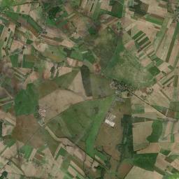 Satelita