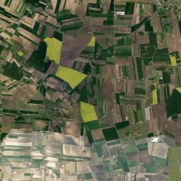 Satelita