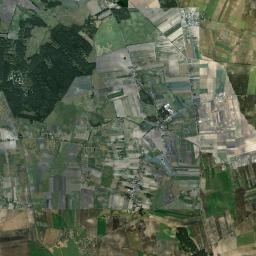 Satelita
