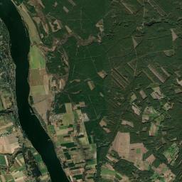 Nieszawa Satellite Map