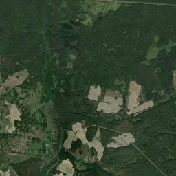 Unechskiy Rayon Satellite Map