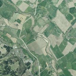 Satelita