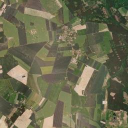Satelita