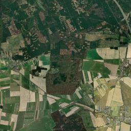 Satelita