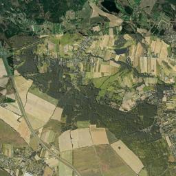 Satelita