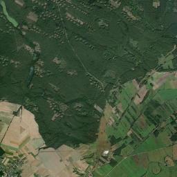 Satelita