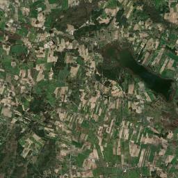 Satelita