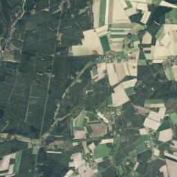 Dedelstorf Satellite Map