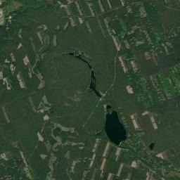 Satelita