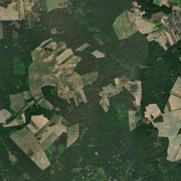 Satelita