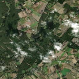 Satelita