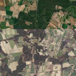 Satelita