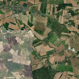 Mieścisko Satellite Map