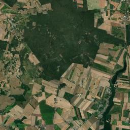 Satelita