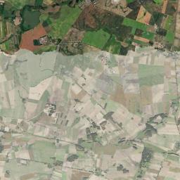 Satelita