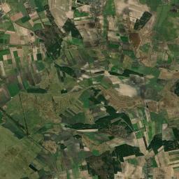Satelita