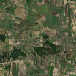Satelita