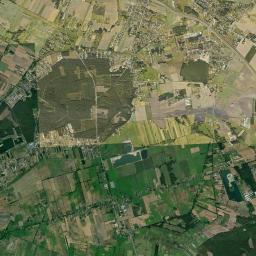 Satelita