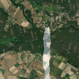 Satelita