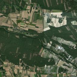 Satelita