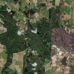 Satelita