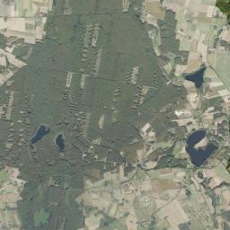 Satelita