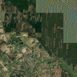Satelita