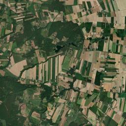 Satelita