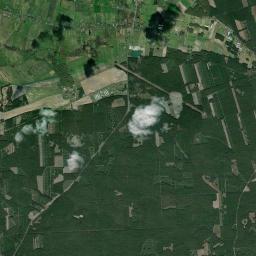Satelita