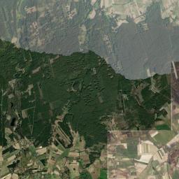 Satelita