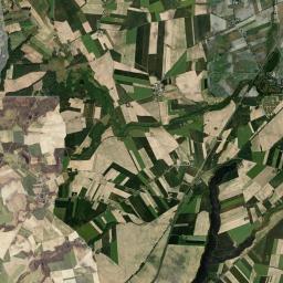 Satelita