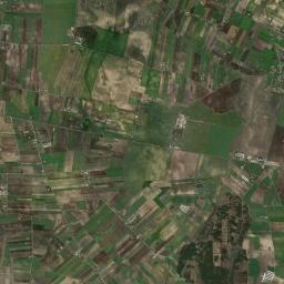 Satelita